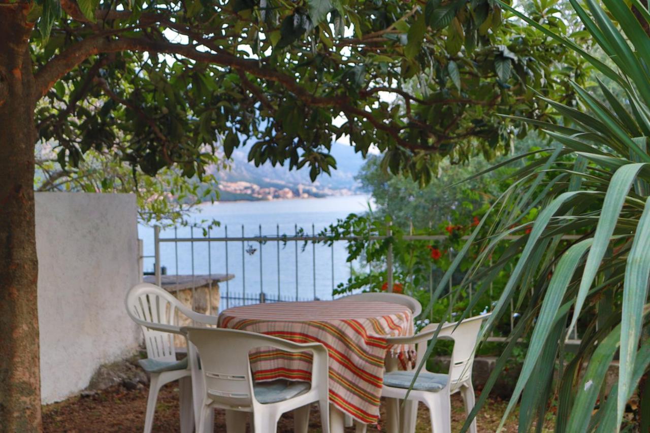 Lemon tree villa Cattaro Esterno foto